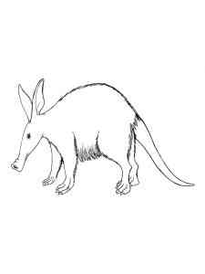 Mammal Aardvark coloring page