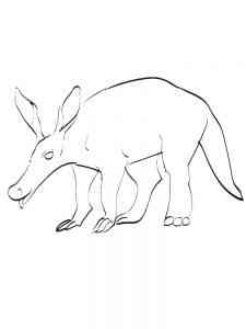Easy Aardvark coloring page
