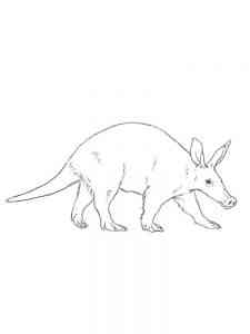 African Aardvark coloring page