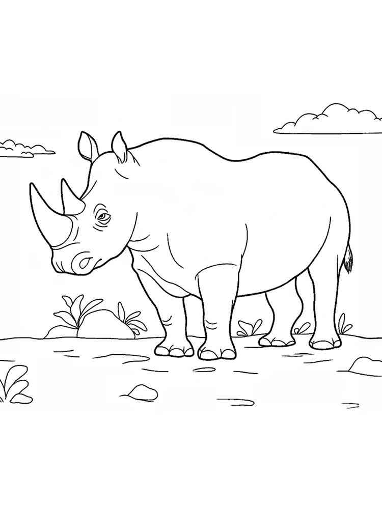 African Rhino coloring page