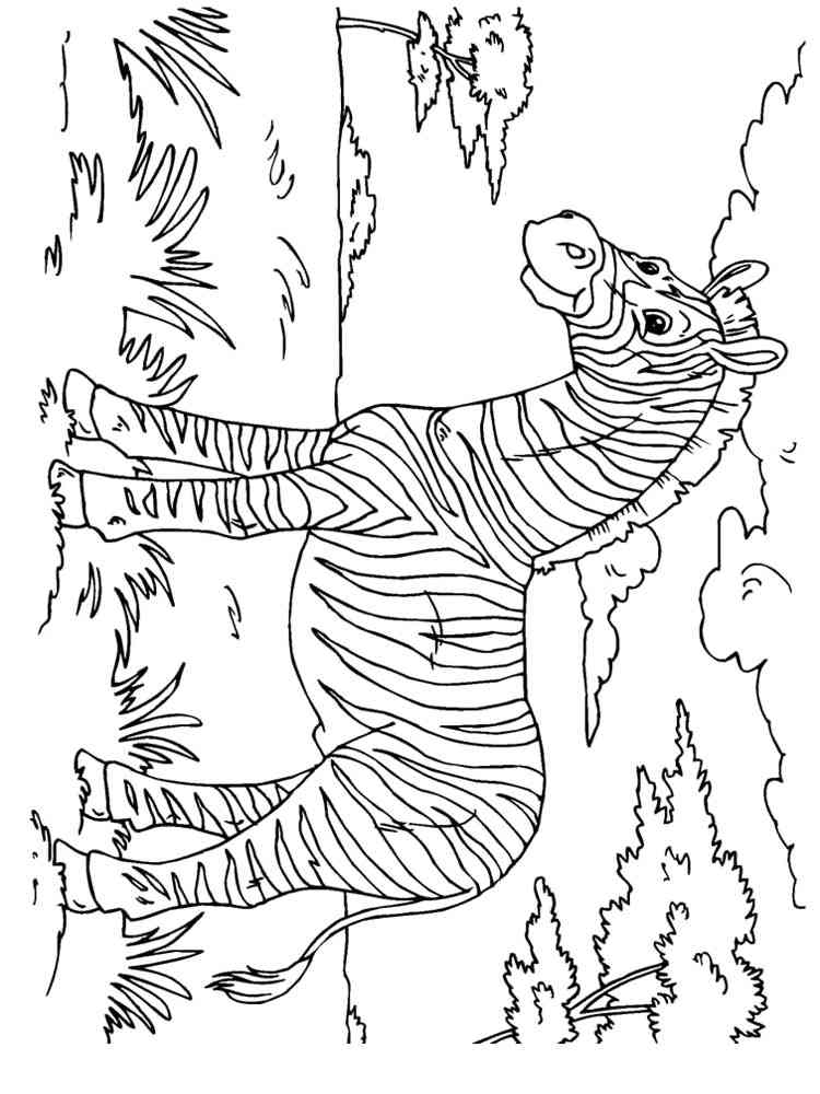 African Zebra coloring page