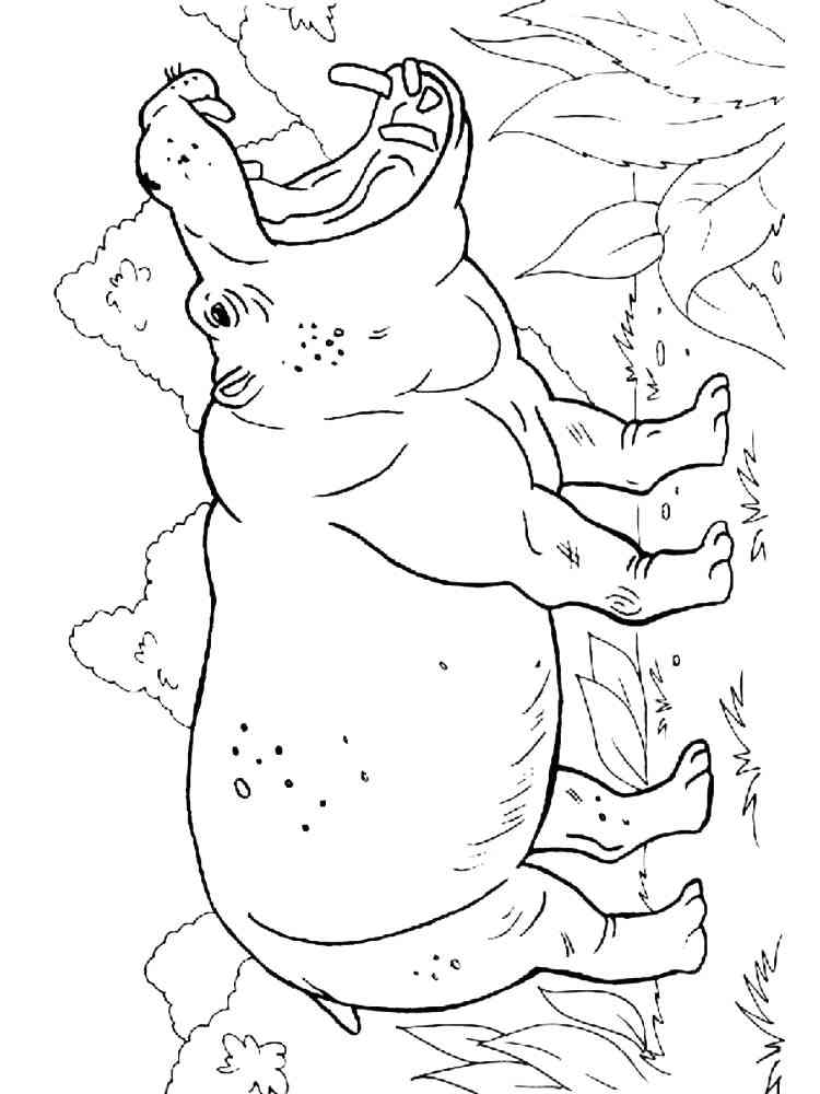 African Hippo coloring page