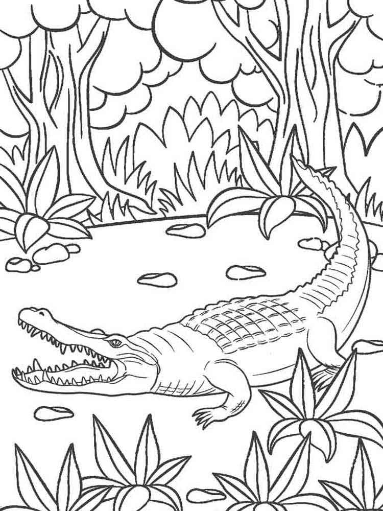 Angry Alligator coloring page