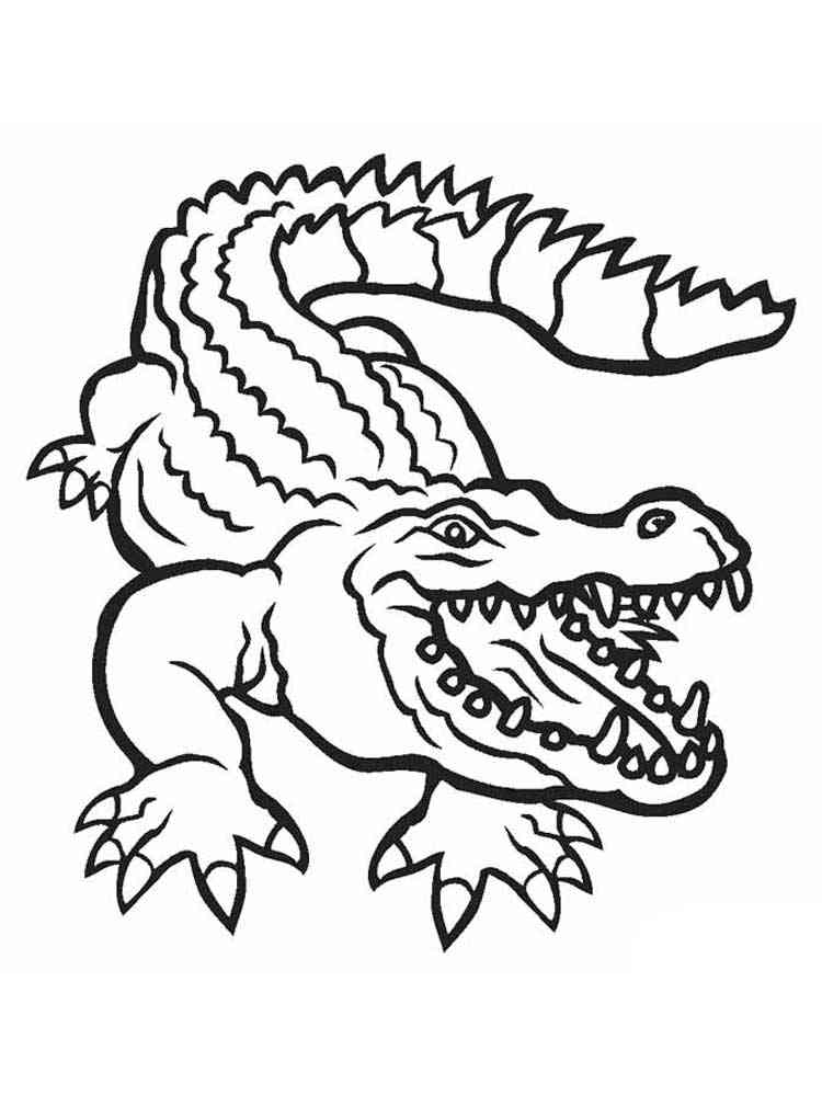 Common Alligator coloring page