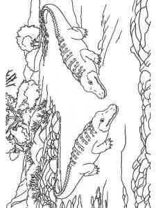 Two Alligators coloring page