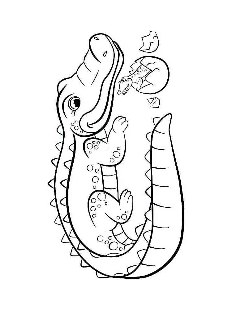 Cute Alligator coloring page