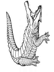 Big Alligator coloring page
