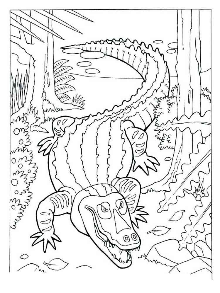 Predatory Alligator coloring page