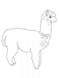 Alpaca with bow coloring page