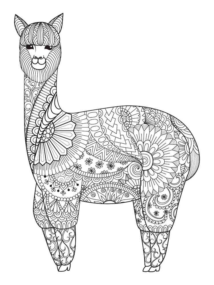 Alpaca coloring page for adults