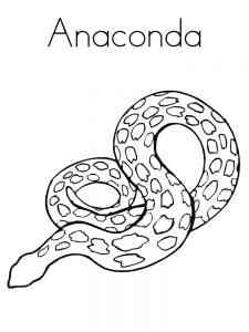 Anaconda coloring page