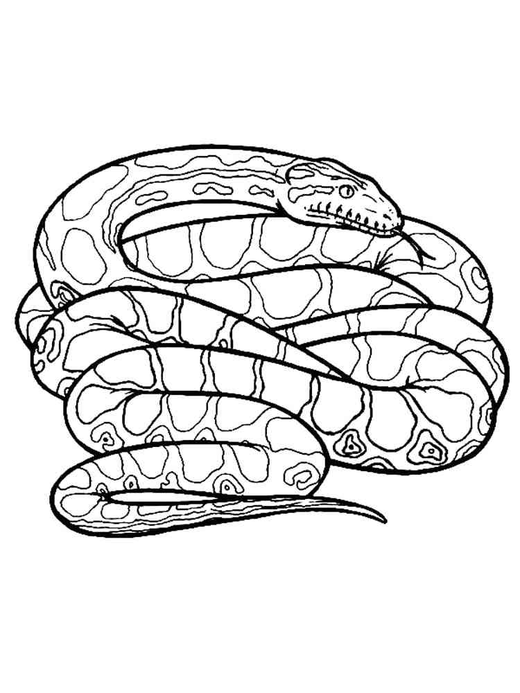 Realistic Anaconda coloring page