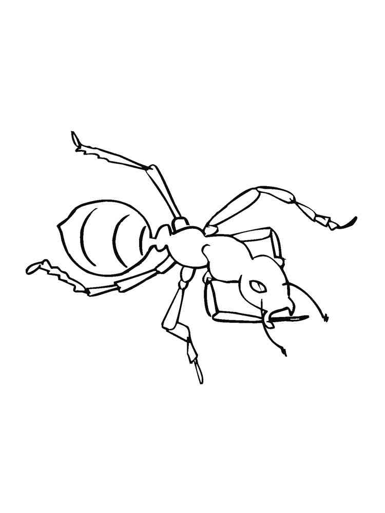 Clever Ant coloring page