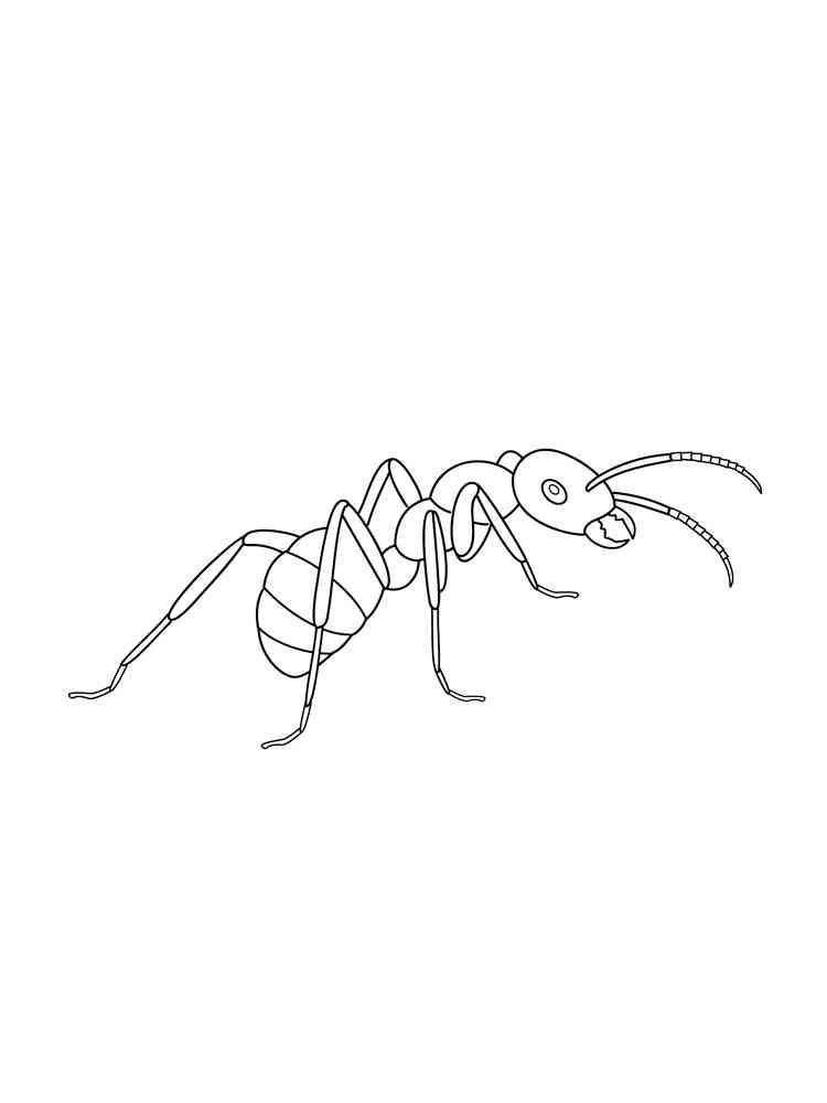 Present Ant coloring page