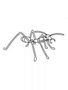 Angry Ant coloring page