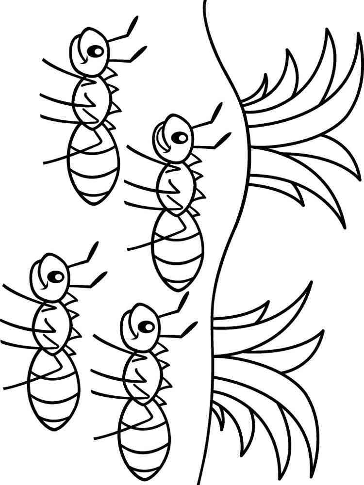 Four Ants coloring page