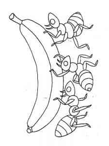 Ants carry a banana coloring page