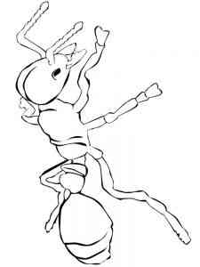 Big Ant coloring page