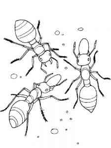 Three Ants coloring page