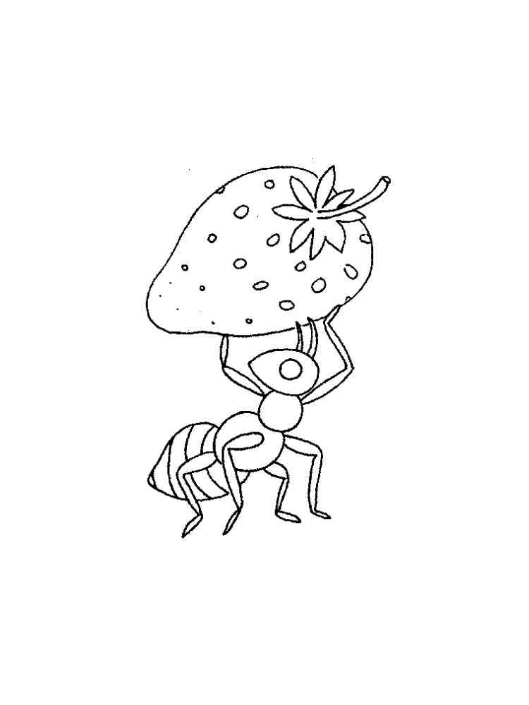 Ant with a strawberry coloring page