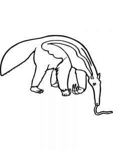 Giant Anteater coloring page