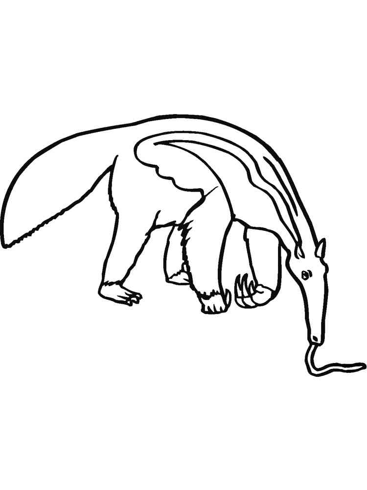 Giant Anteater coloring page