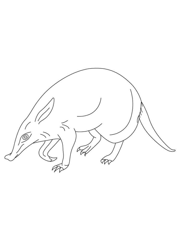 Anteater walk coloring page
