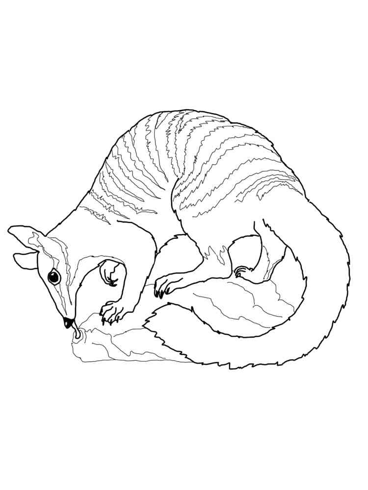 Anteater on a rock coloring page