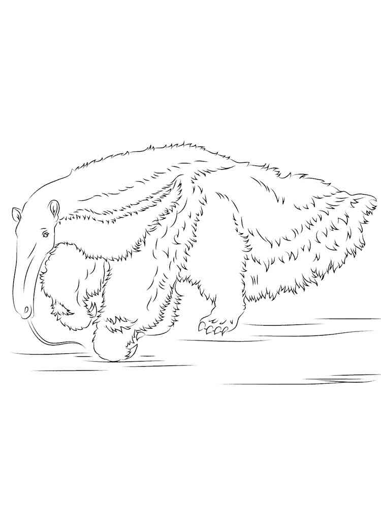 Real Anteater coloring page