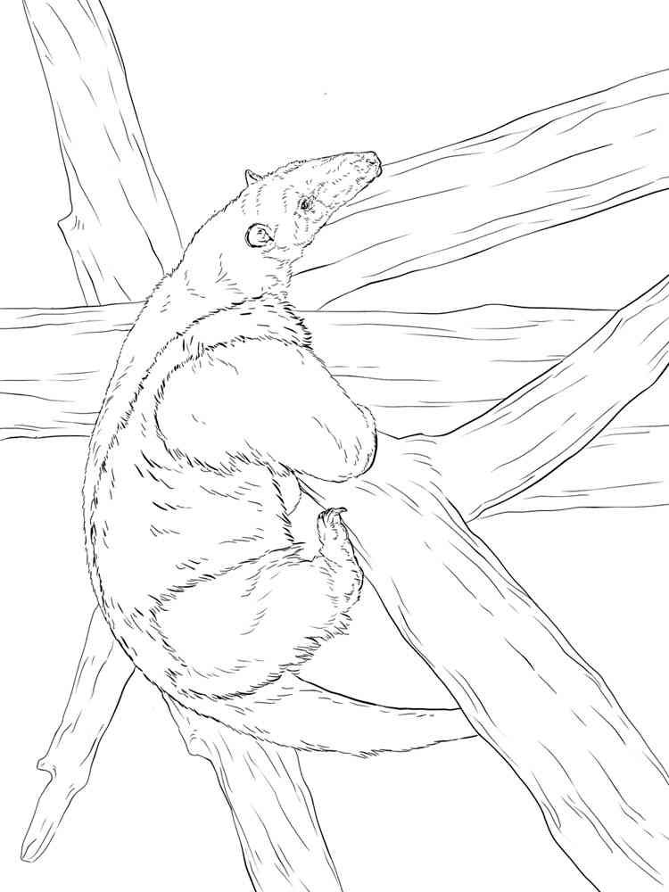 Anteater on a tree coloring page