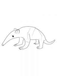 Cartoon Silky Anteater coloring page