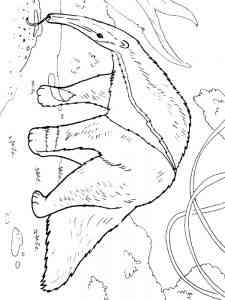Realistic Giant Anteater coloring page