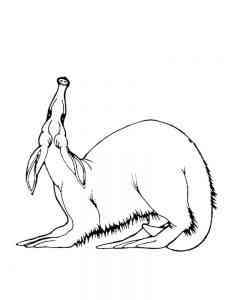 Funny Giant Anteater coloring page