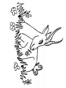 Antelope lies in the grass coloring page