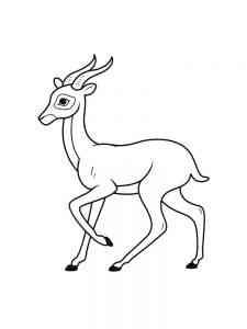 Common Antelope coloring page
