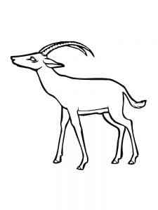 Simple Antelope coloring page