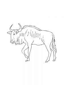 Antelope Wildebeest coloring page