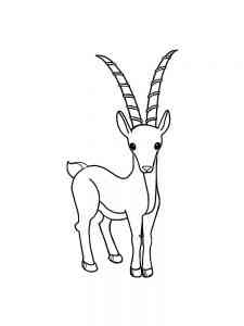 Easy Antelope coloring page