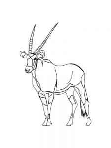 Oryx Antelope coloring page