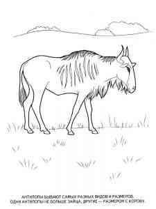 Wildebeest Antelope coloring page
