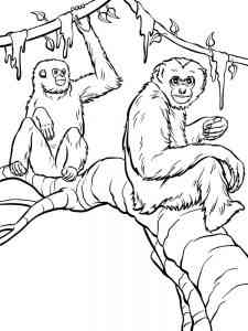 Two Gibbons coloring page