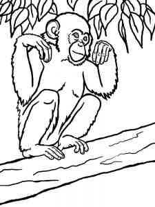 Chimpanzee on a tree coloring page