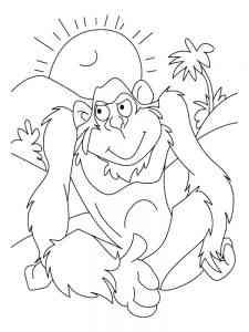 Ape sits coloring page