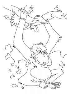 Free Ape coloring page