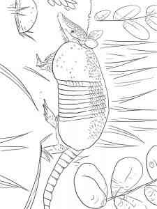 Nine-banded Armadillo coloring page