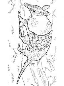 Wild Nine Banded Armadillo coloring page