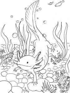 Axolotl im Aquarium coloring page