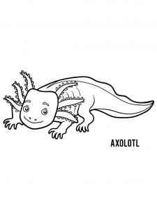 Lovely Axolotl coloring page