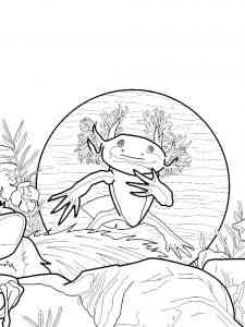 Mysterious Axolotl coloring page