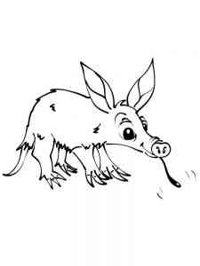 Baby Aardvark coloring page